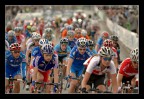 Varese : Campionato del mondo 2008 di ciclismo
Prova in linea Elite Donne

Canon EOS 40D
Canon EF 80-200 f/2.8 L