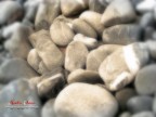 Texture