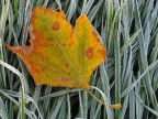 L'Autunno cede il passo all'inverno