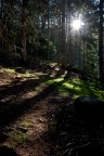 Controluce