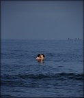 bacio nel profondo blu