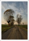 Strade Sterrate