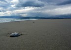 LA SPIAGGIA FINO IN FONDO
