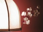Dolce luce