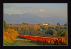 Tramonto..Sul Sagrantino..2