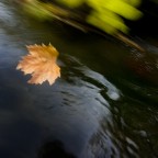 AutunnoInCorso AutunnoInCorso