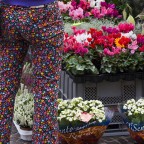 Flower power Flower power