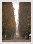 Autunno: tempo di caccia