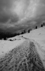 Neve e nero