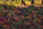 colori, colori