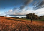 Dolce luce