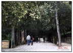 Vita da Parco