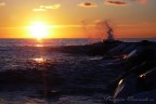 Tramonto a Sestri Levante