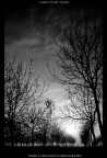 come to my light