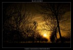black sunset