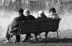 allegra compagnia
