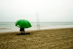 ,,,calma piatta...