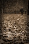 les feuilles mortes