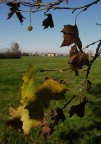 autunno.. terramia