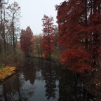 Autunno