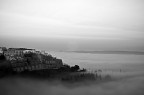 ......nella nebbia
