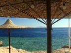 vacation