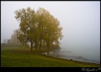 Angolo del Lago