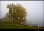 Angolo del Lago di Candia.
Suggerimenti e critiche sempre ben accetti.