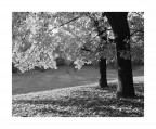 Luce d'autunno