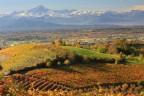 Uno scatto delle belle langhe, nella zona di Clavesana (CN)