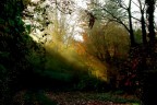 Autunno 2