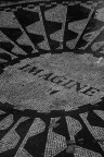Un omaggio al RE dei re..
e non accetto critiche...hi hi