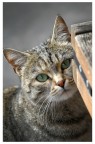 Canon eos 7d test