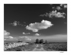 ...IN RICORDO...