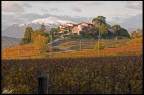 Questo  il friuli.