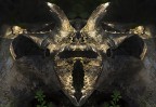 creatura della foresta