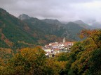 Pariana