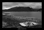 ABBANDONO