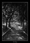 Canon 500D + 18-55 mm IS.
Scattata a colori e convertita con PS (desaturazione semplice) + regolazioni luminosit, contrasto e sharpening.

Commenti e suggerimenti sempre ben accetti.