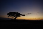 Ore 6.12
Amboseli.
Torna la luce.