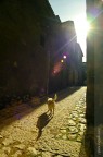 . solo luce