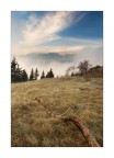 Oltre la Nebbia #2