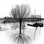 ...in padule...
