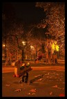 Contest n.42 - Al Calar della Notte
