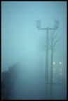 Nebbia