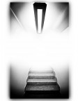 luce