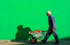 il colore della speranza....la speranza di un lavoro