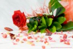Una rosa per me