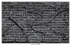 The Wall