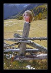 la testa
